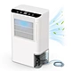 Dehumidifier